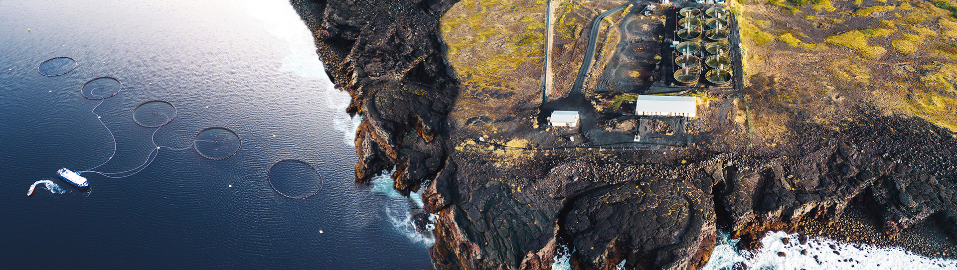 Aerial view of coastal fish farm with circular enclosures and nearby land facility.