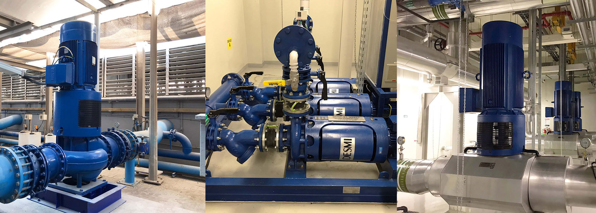 Blue DESMI pumps used for industrial fluid handling applications.