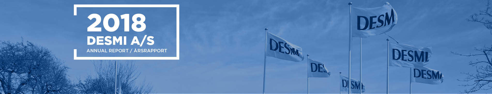 DESMI 2018年度报告封面，展示了印有DESMI品牌标志的旗帜和树木。