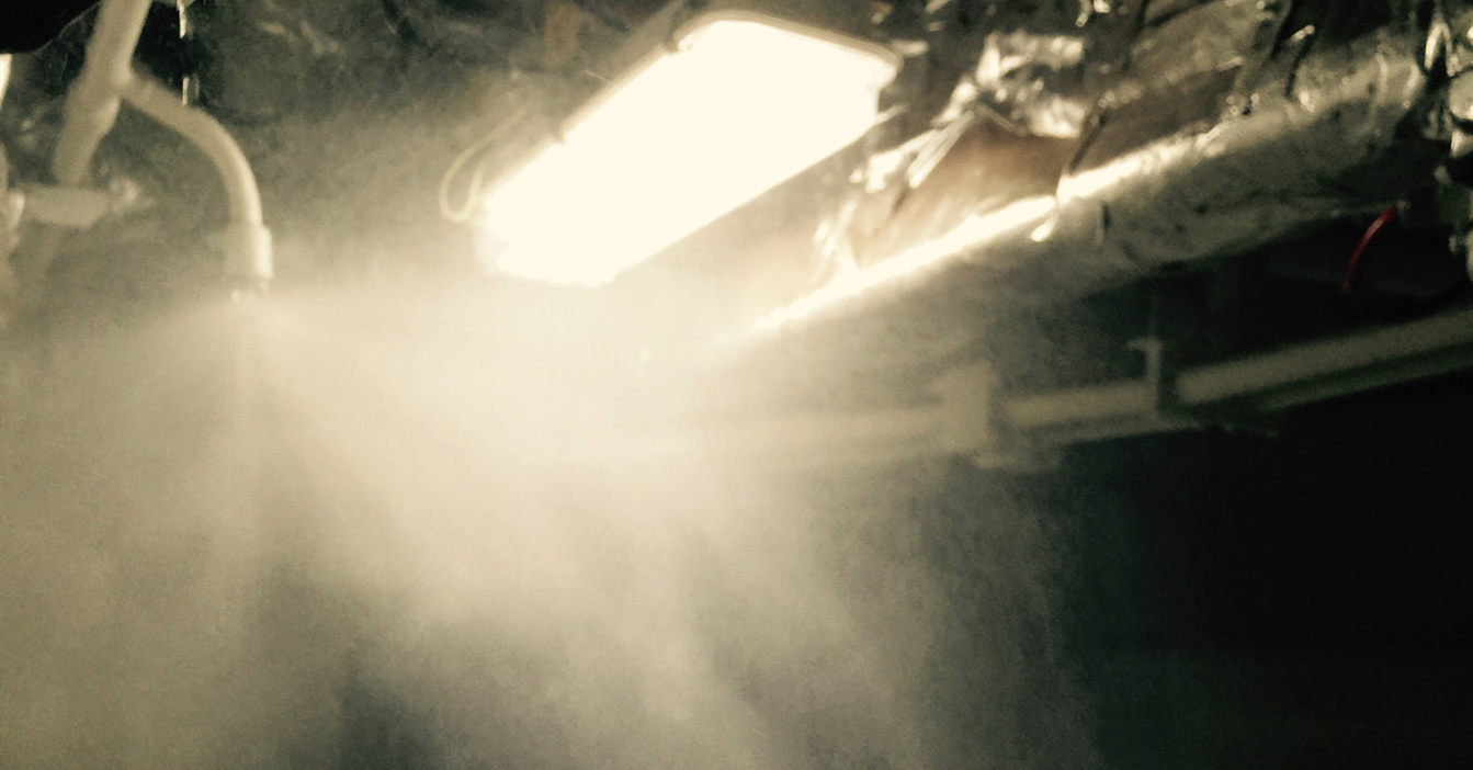 Bright industrial light illuminating mist from overhead pipes in a dimly lit area.
