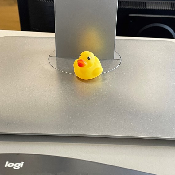 桌子上有一只黄色橡皮鸭，旁边是电脑显示器和键盘。