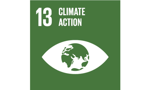 Green square with "13 Climate Action" and Earth symbol in an eye shape.