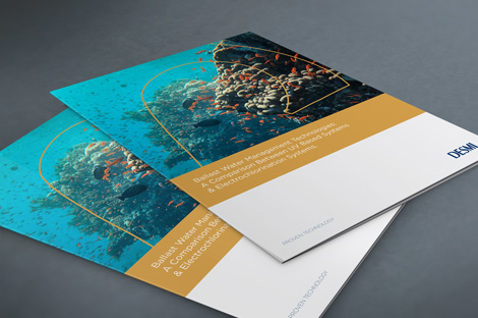 Brochures featuring coral reef imagery with "DESMI" logo, showcasing marine environmental solutions.