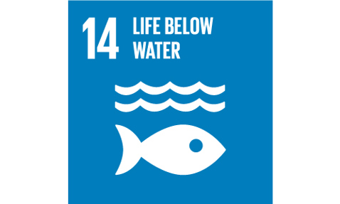 UN Sustainable Development Goal 14: Life Below Water, featuring fish and waves icons.