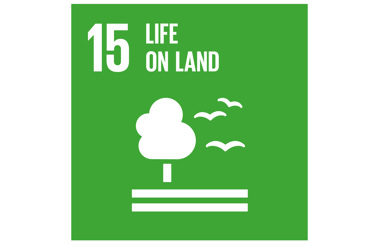 Green icon representing Sustainable Development Goal 15: Life on Land.