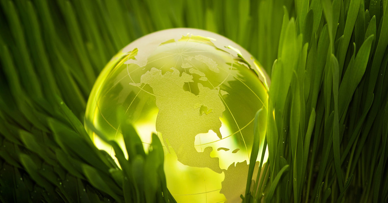 Transparent globe nestled in vibrant green grass, symbolizing environmental sustainability.