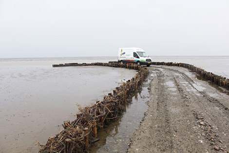 一辆货车停在靠近海边的泥泞道路上，周围环绕着芦苇屏障。