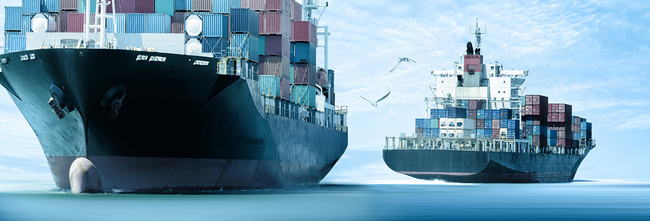 Two large cargo ships carrying containers on a calm sea under a blue sky.