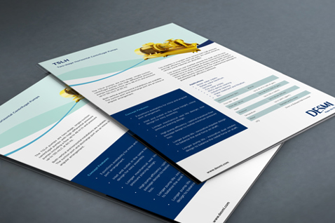 DESMI brochures featuring TSLH centrifugal pump for marine and offshore applications.