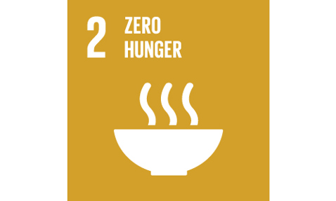 UN Sustainable Development Goal 2: Zero Hunger, depicted with steaming bowl icon.
