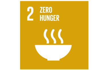 SDG 2 icon: Zero Hunger, featuring a steaming bowl on a yellow background.