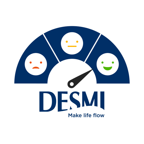 DESMI satisfaction gauge with sad, neutral, and happy faces; tagline "Make life flow."