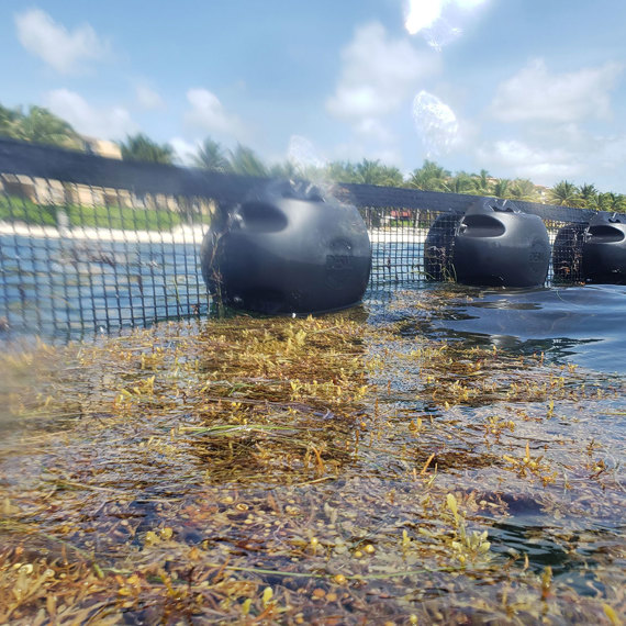 EDDY Pump's Application in Sargassum Seaweed Removal
