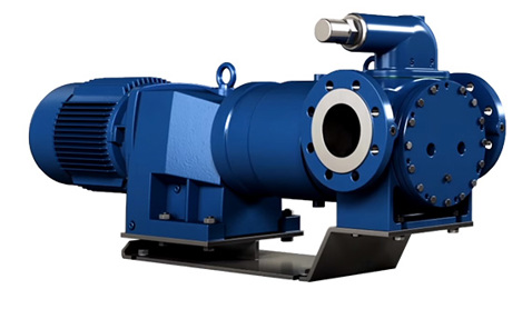 Blue DESMI ROTAN ED gear pump for industrial fluid handling applications.
