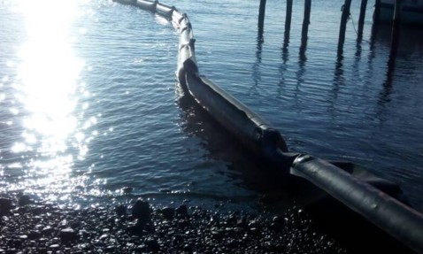 Floating barrier on calm water near wooden pilings and rocky shoreline.