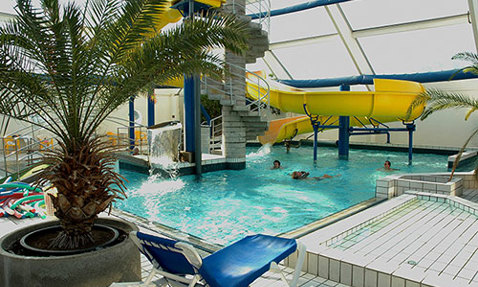 Indoor pool with a yellow slide, palm tree, and lounge chairs.