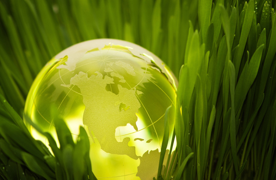 Green globe nestled in vibrant grass, symbolizing environmental sustainability.