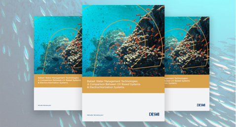 DESMI whitepaper promotional image