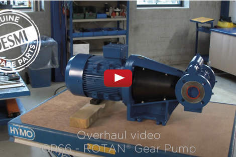DESMI ROTAN GP66 Gear Pump in workshop, shown for overhaul video.