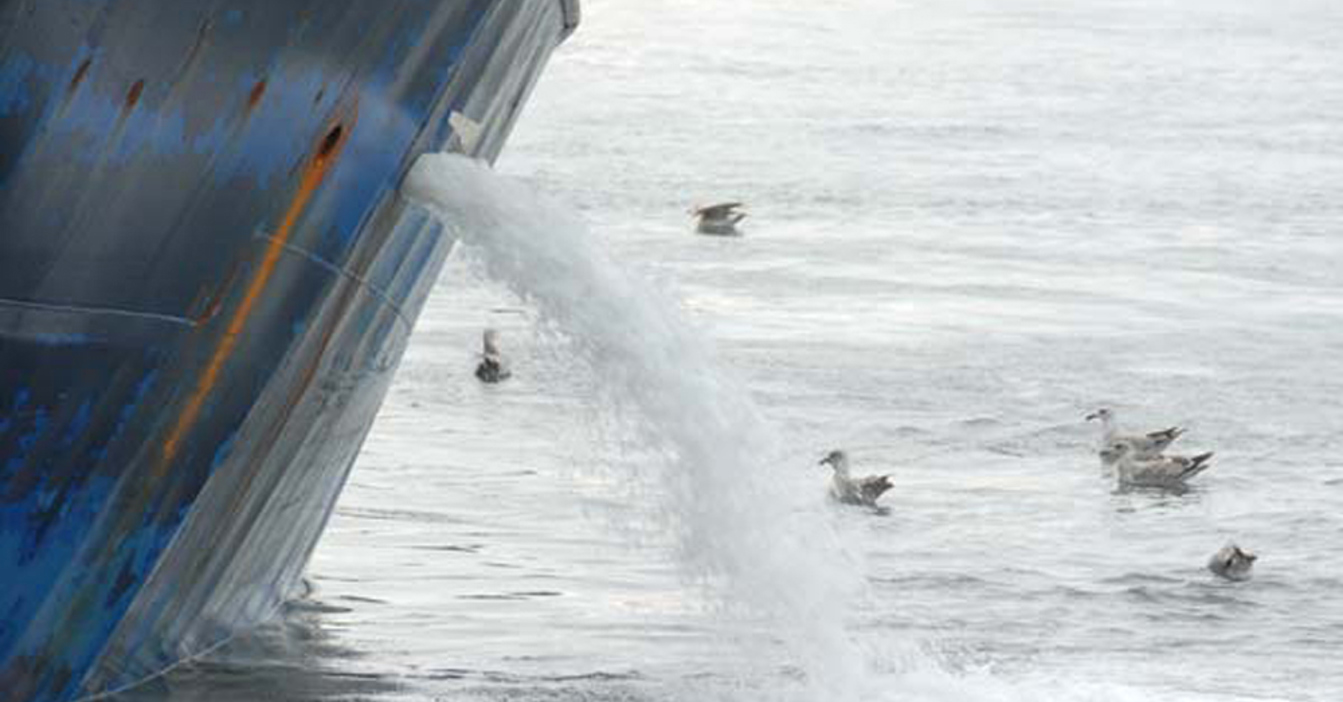 Ship discharging water into the sea surrounded by floating seagulls.