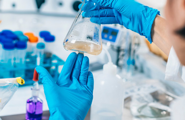 Scientist wearing blue gloves examines a flask in a laboratory setting.