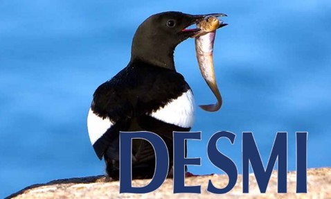 Magazine cover featuring a bird with fish, highlighting DESMI's environmental systems.