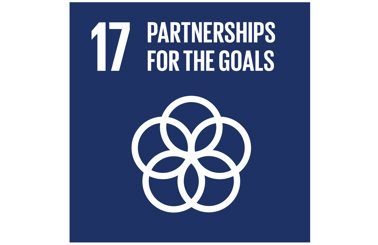 UN Sustainable Development Goal 17 icon: Partnerships for the Goals, blue background.