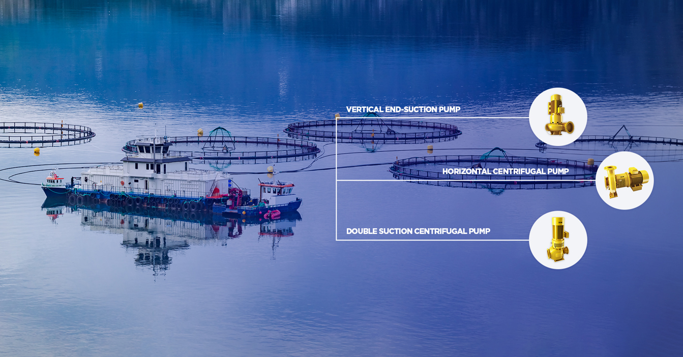 Fischfarm mit DESMI-Pumpen: vertikale End-Saugpumpe, horizontale Kreiselpumpe, doppelte Saugkreiselpumpe.