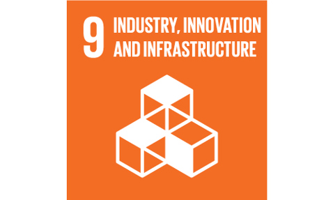 Orange icon representing UN Sustainable Development Goal 9: Industry, Innovation, and Infrastructure.