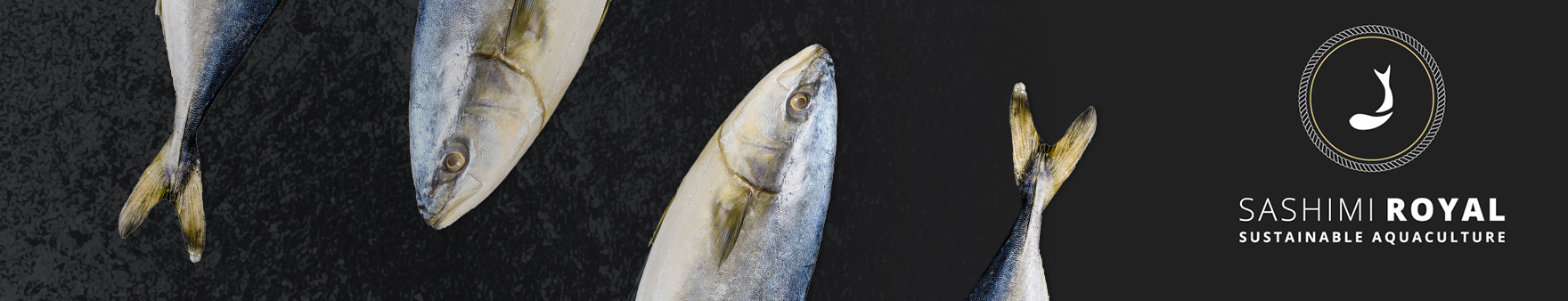 Three fish with Sashimi Royal sustainable aquaculture logo on a dark background.