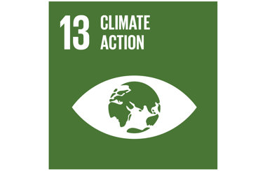 Green icon for UN Sustainable Development Goal 13: Climate Action.
