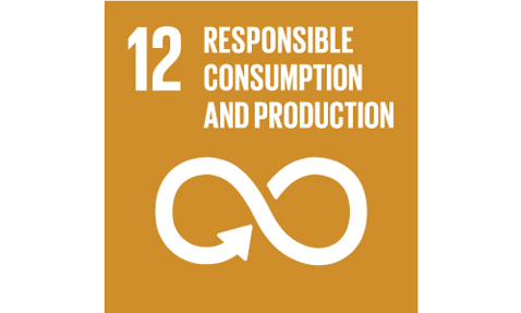 Icon for Sustainable Development Goal 12: Responsible Consumption and Production.