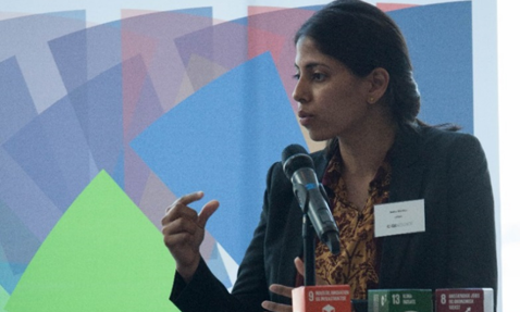 在可持续发展主题背景下，一位人士正在SDG Accelerator活动上发言。