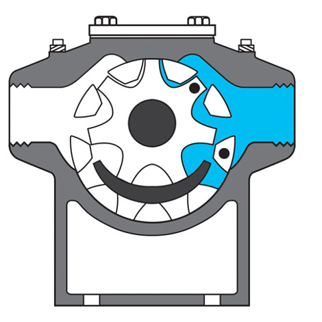 DESMI ROTAN® 泵的剖面图，展示内部流体流动。