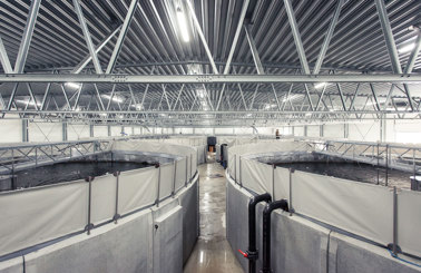Industrial facility with large circular tanks and metal roof structure.