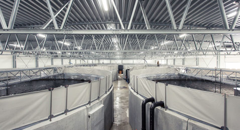 Industrial facility with large circular tanks and metal roof structure.