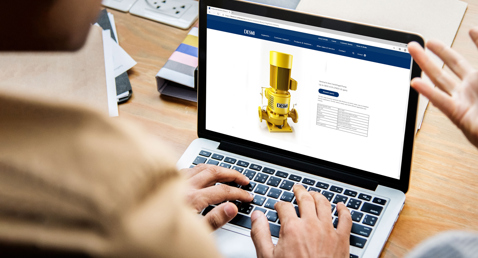 Persona che visualizza i dettagli della pompa centrifuga verticale DESMI su uno schermo di laptop.