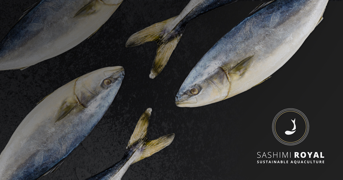 DESMI Pumps and Aquaculture | DESMI - Make life flow