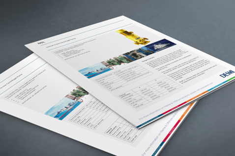 Brochures featuring DESMI products and technical specifications on a gray surface.