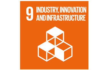 Orange UN SDG 9 icon for Industry, Innovation, and Infrastructure with cube graphic.