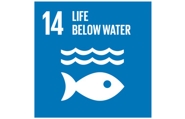 Blue icon representing UN Sustainable Development Goal 14: Life Below Water.